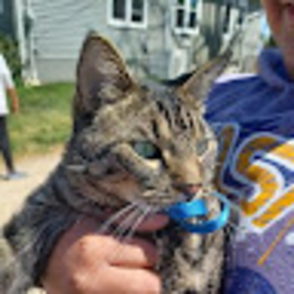 Meet your Posher, Melanie - Picture 1 of 1